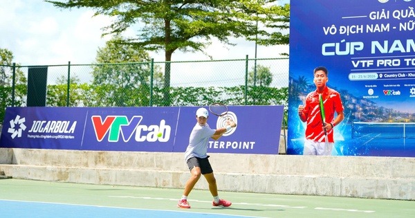 SC88 cược thể thao